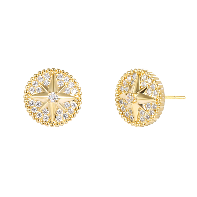 earring
